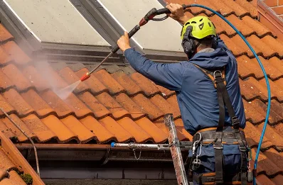 Démoussage et hydrofuge de toiture à Binas